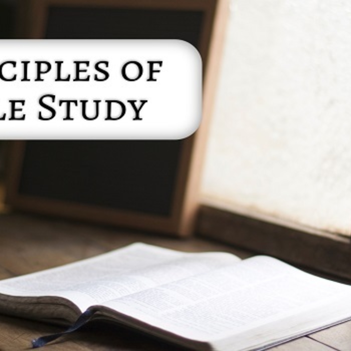 Principles on Bible Study