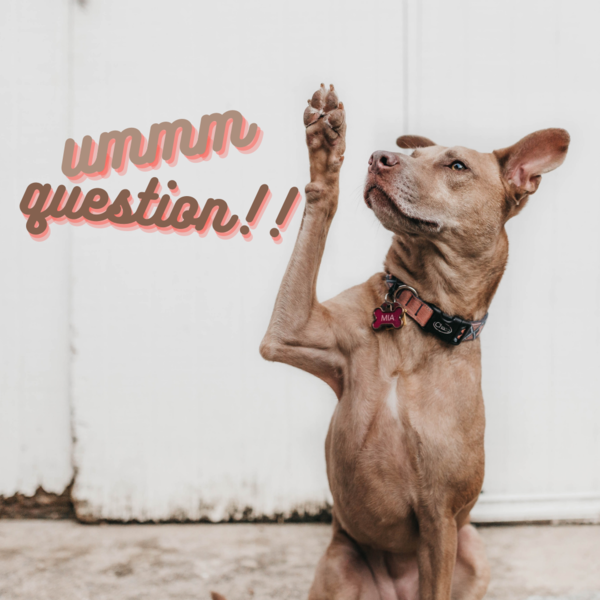 St. Dunstan's Townhall