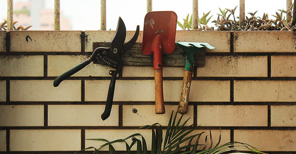 Edmonton Tool Library