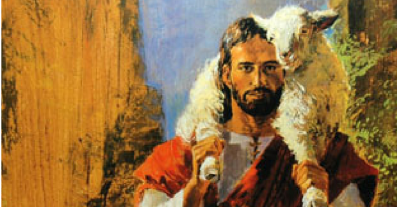 The Shepherd of Life — 3rd Sunday of Easter