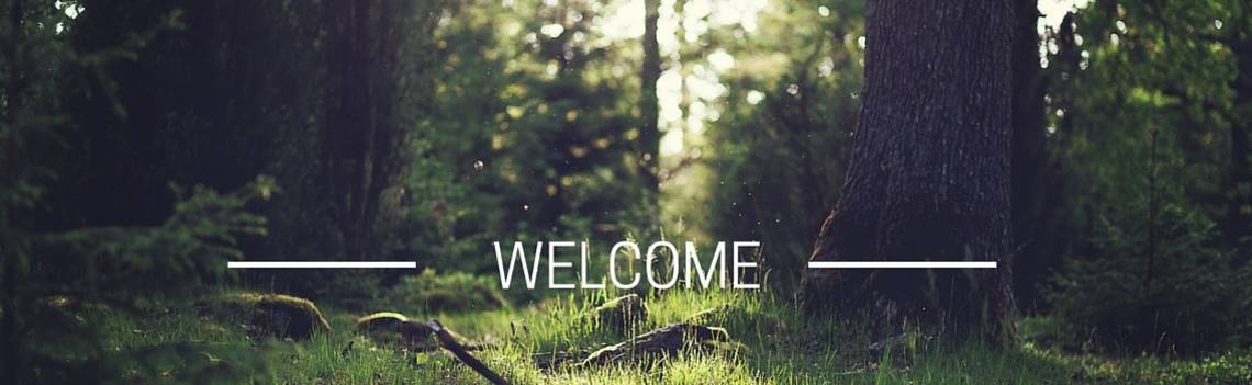 Forest Baptist Church