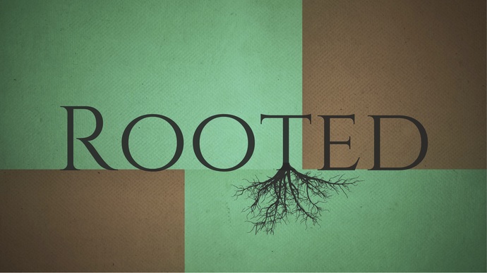 rooted in peace dunks