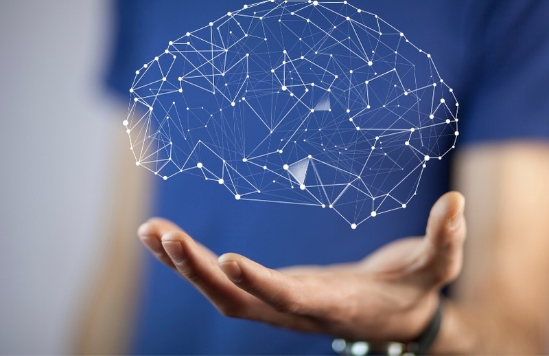 Spirituality and The Brain