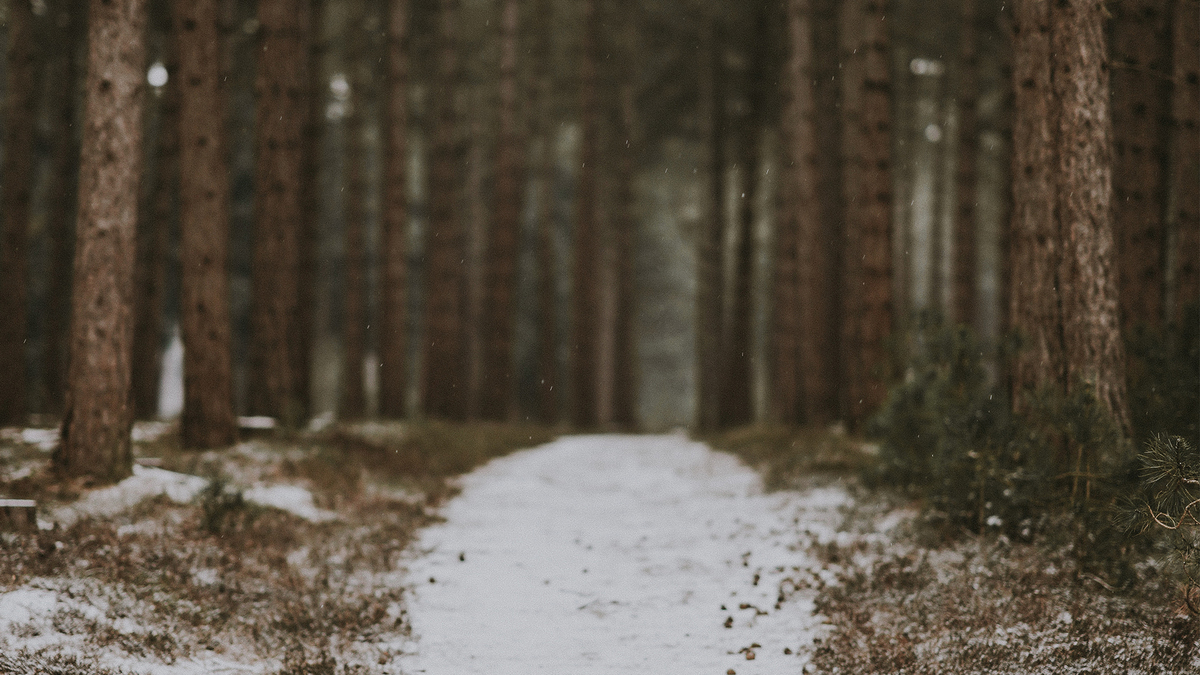 North Langley Community Church