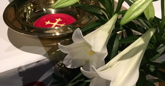 Thank you for giving! image