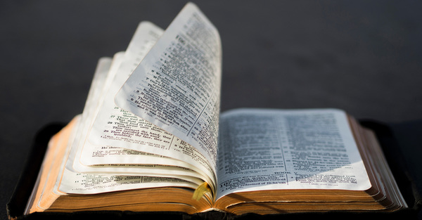 Scripture Harvest