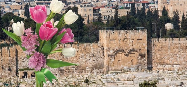 Cathedral Newsletter for May 10, 2020