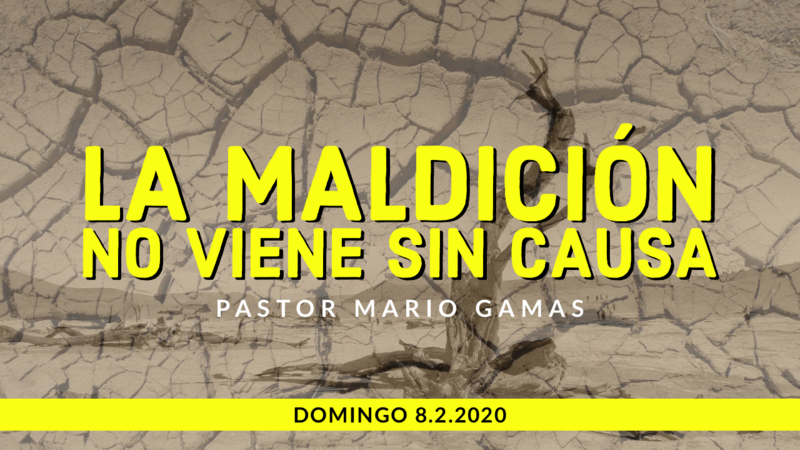 La Maldición no viene sin Causa 1