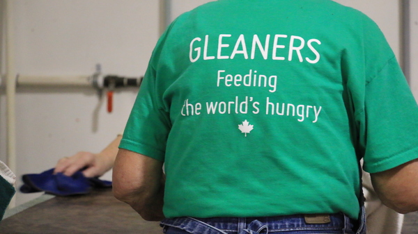 Annual General Meeting