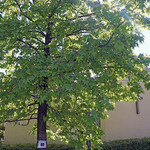 nav image