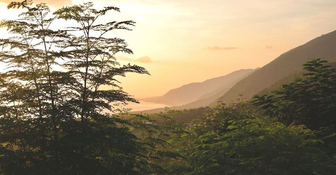 15th Anniversary Newsletter image