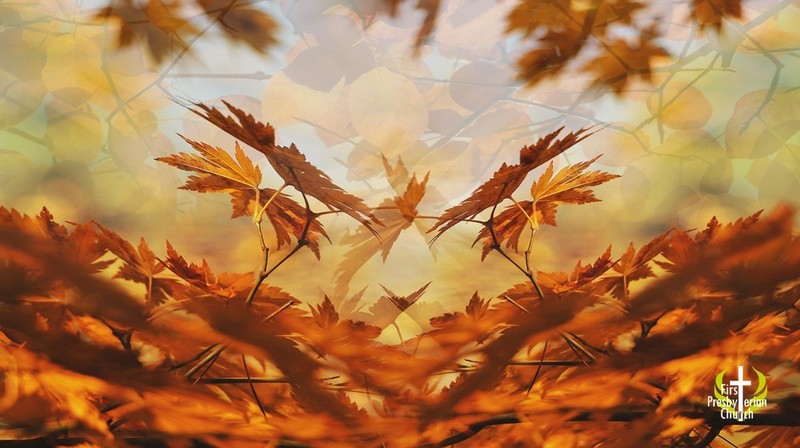 Sunday September 27 Message