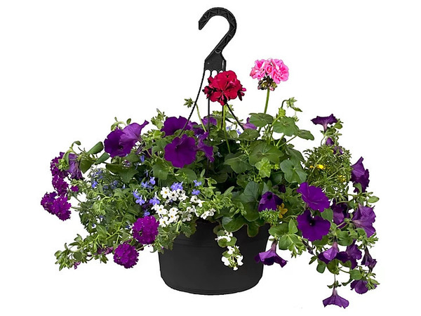 Mother's Day Flowers