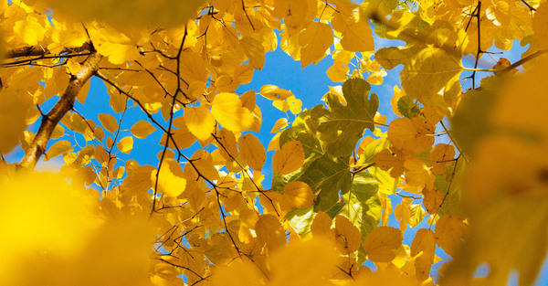 St. George's Centre for Wellness and Learning Upcoming Retreats