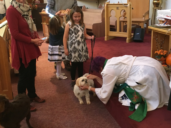 Beloved Edgerton and Wainwright Pets Blessed and Remembered