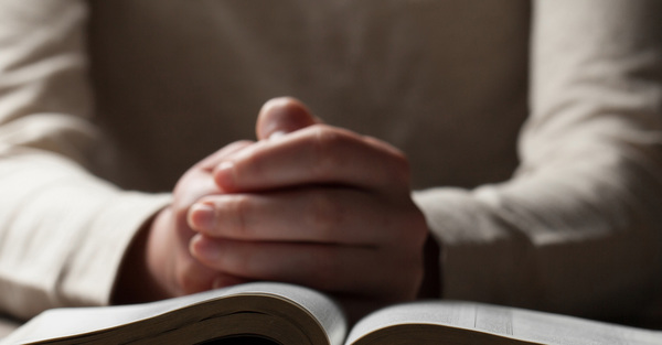 Star of the North Upcoming Programs