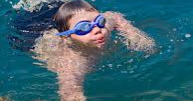 Drop Your Hammer & Swim to Shore image