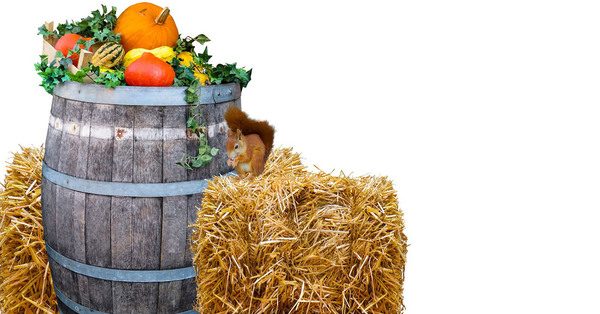 St. Stephen's ACW Harvest Dinner