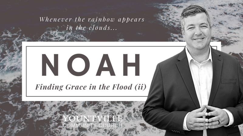 The Flood (part ii)