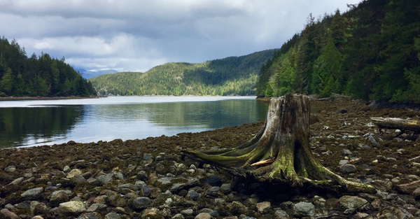 Creation Care: In the Beginning...