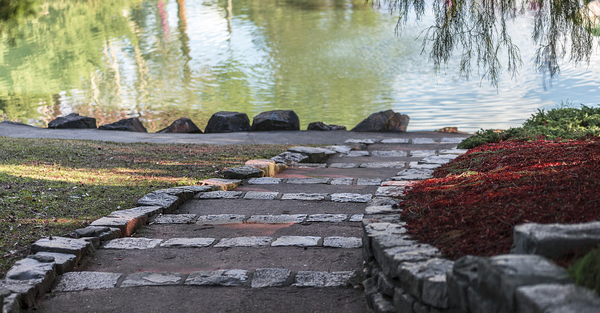 Come to the waters… Listen