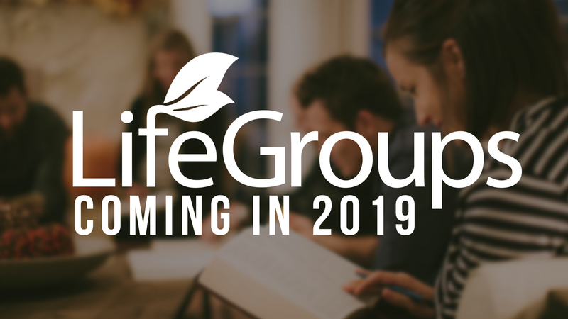 Life Together: Life Group Launch