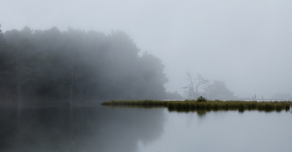 Praying with Teilhard de Chardin