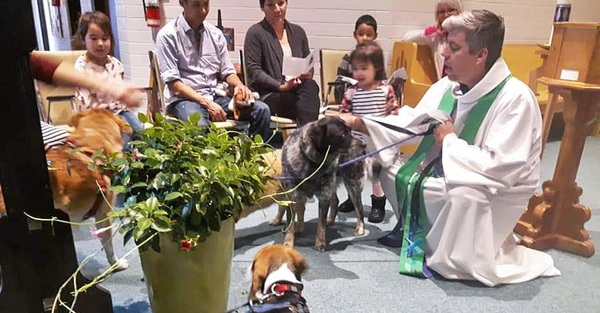 Parkland Pets Given Messy Church Blessing