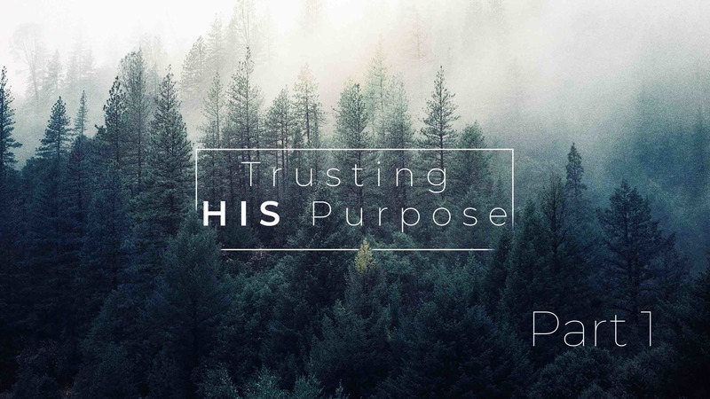 Trusting HIS Purpose - Part 1