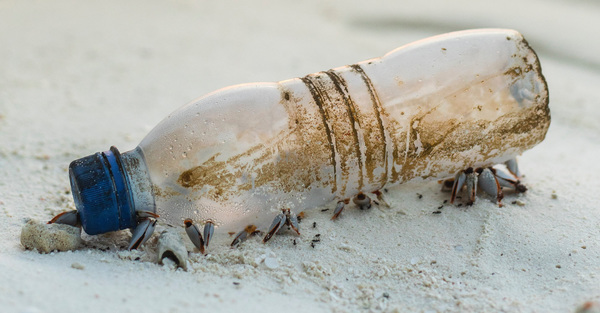 Less Plastic for Lent