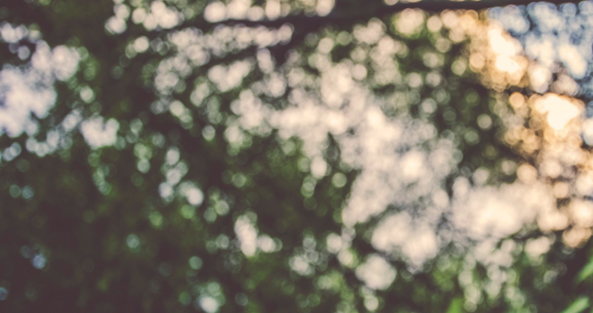 Sunday Morning Message