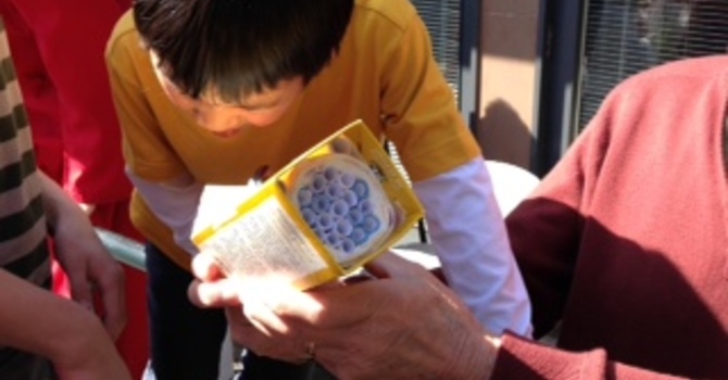 Blessing of the Bees at St. Helen's, Point Grey, Palm Sunday, 2014 image