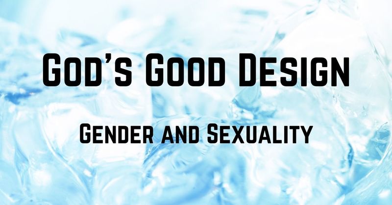 "Sexual Discipleship"