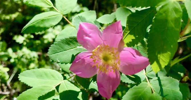 Christmas Eve Service