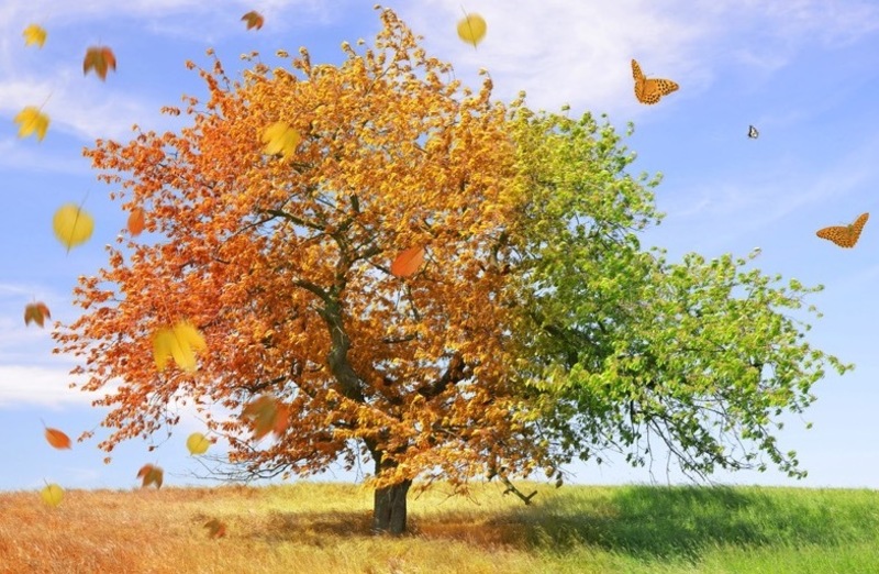 What Season Are You In?