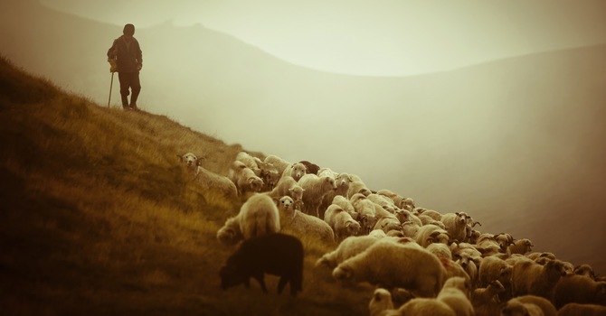 What’s the Normal Process for Church Discipline? image