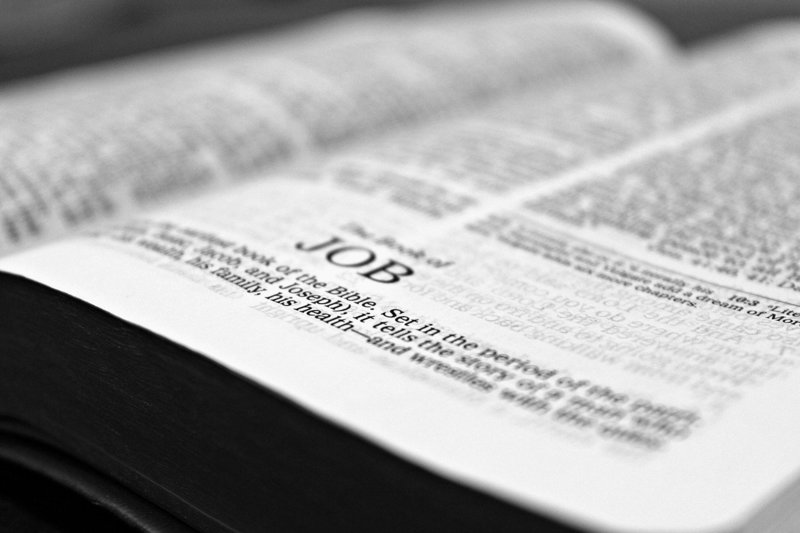 Ninth Sunday after Pentecost - 02 August 2020