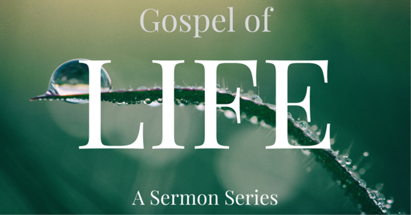 Gospel of Life Session #5