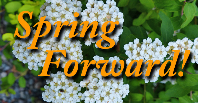 Spring Forward - March 8, 2026