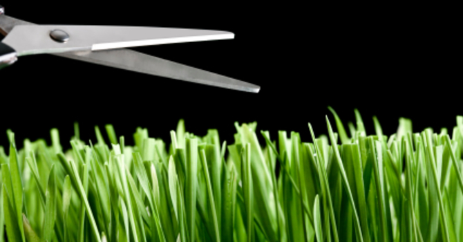 Perfectionism or Excellence? image