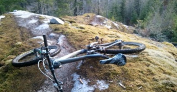 Go Back to Go Forward image