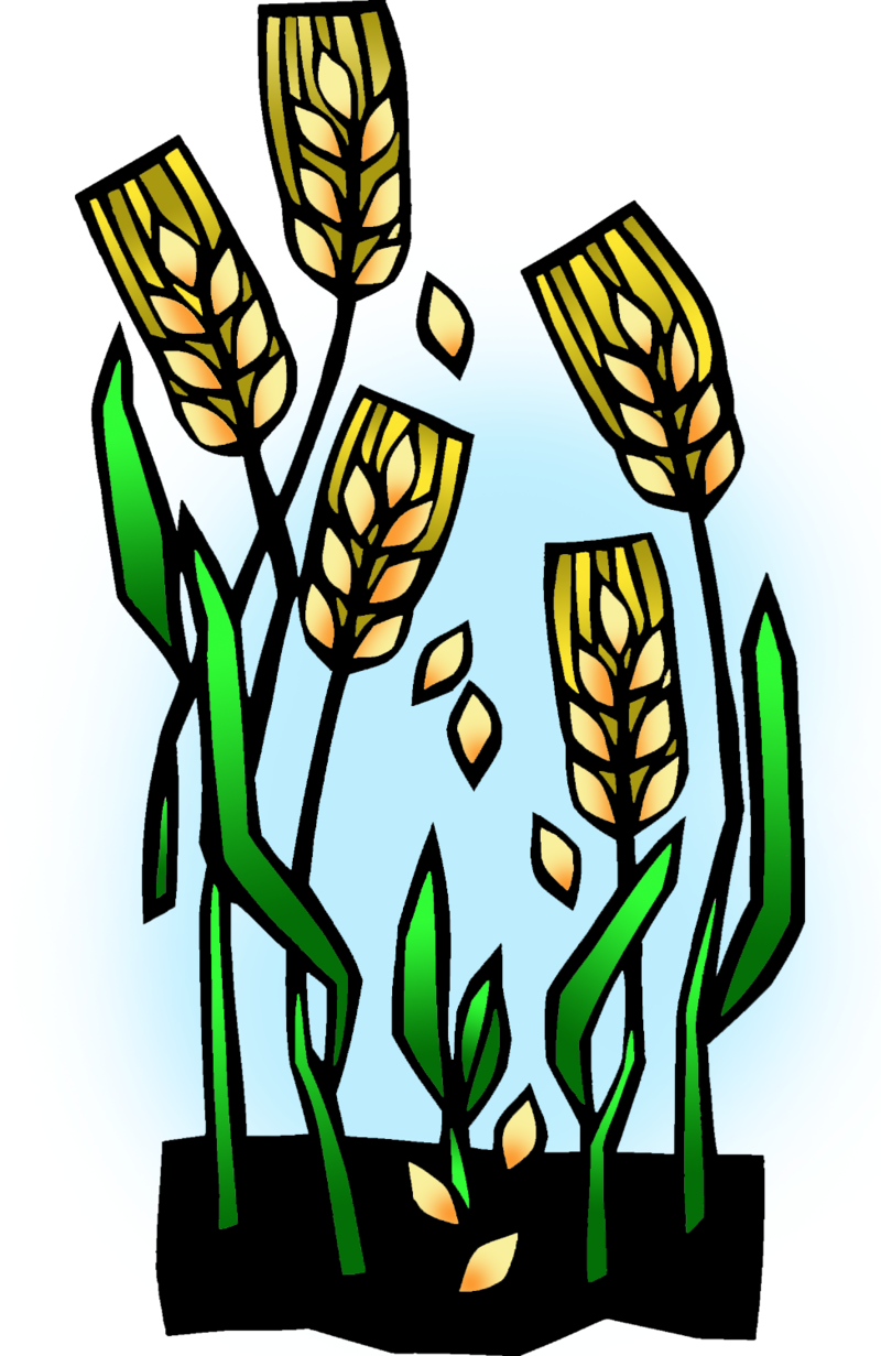 Fifth Sunday in Lent