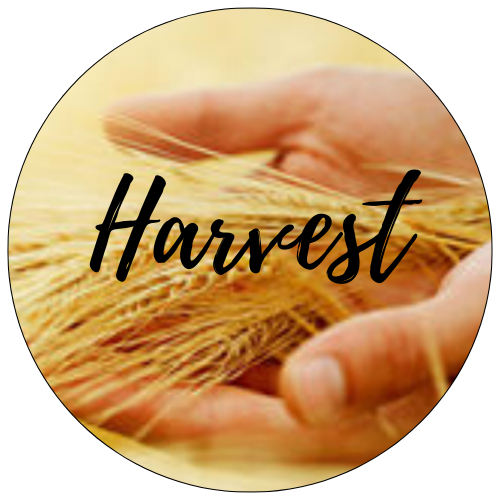 Harvest Christian Center