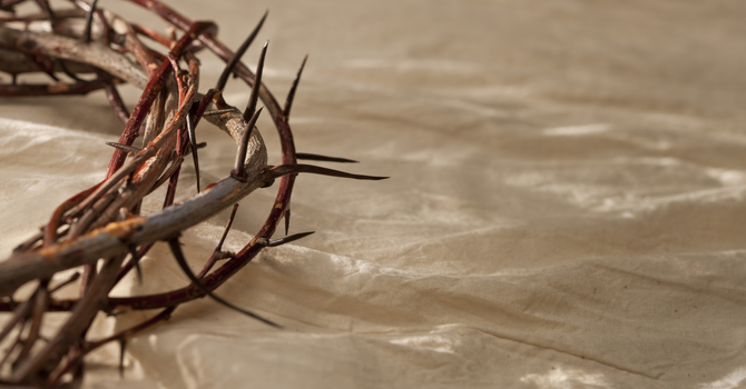 Grateful for the Sacrifice image