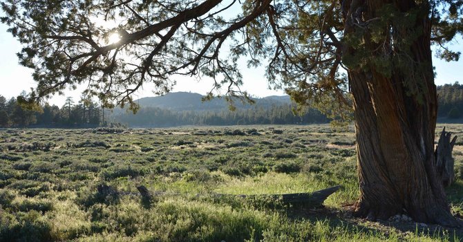 Partners in Action image