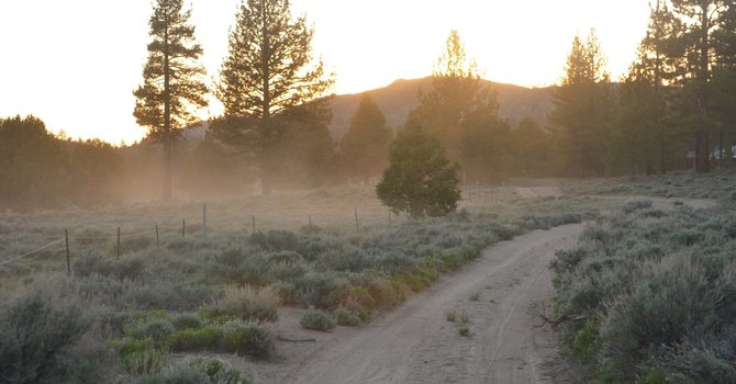 Partners in Action image