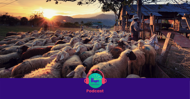 Jesus the Good Shepherd