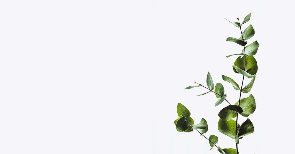 Laura Farre Rozada in Concert