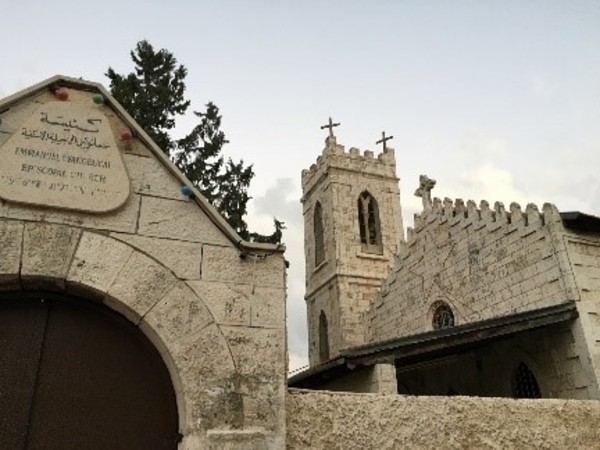 A Plea for an End to Violence