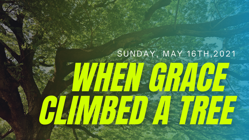 When Grace Climbed A Tree